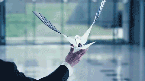 WeChat Image_20200803125322